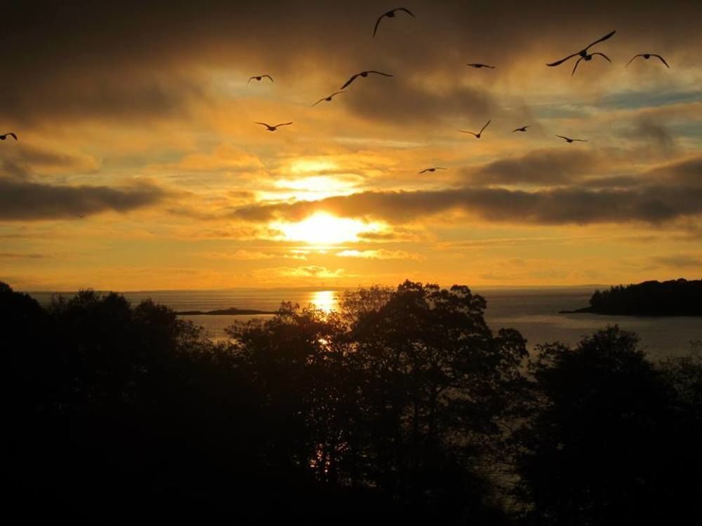 Ledges By The Bay Motel Rockport Bagian luar foto